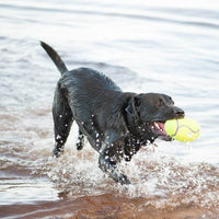 Kong Futbol AirDog Squeaker