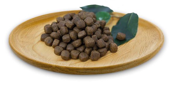 Natural Greatness Turkey Recipe Adult-All Breed