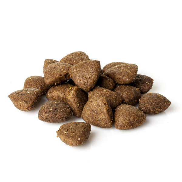 Natura Diet Fish & Rice