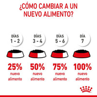 Royal Canin Starter Mommy & Baby